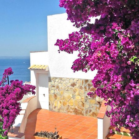 Splendido Studio, Vista Mare, A 5Mn Dalla Spiaggia - Casa Artevida Roses Exterior foto