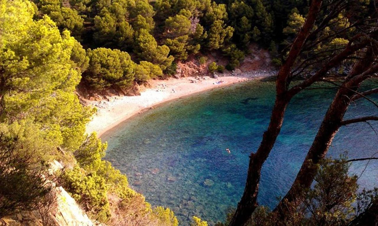 Splendido Studio, Vista Mare, A 5Mn Dalla Spiaggia - Casa Artevida Roses Exterior foto